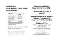 Brain Restoration