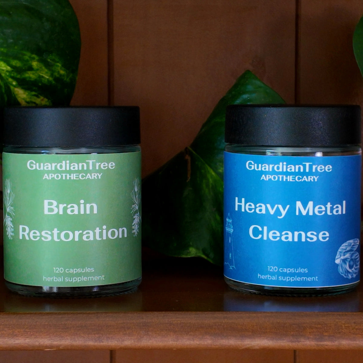 Brain Protection Bundle