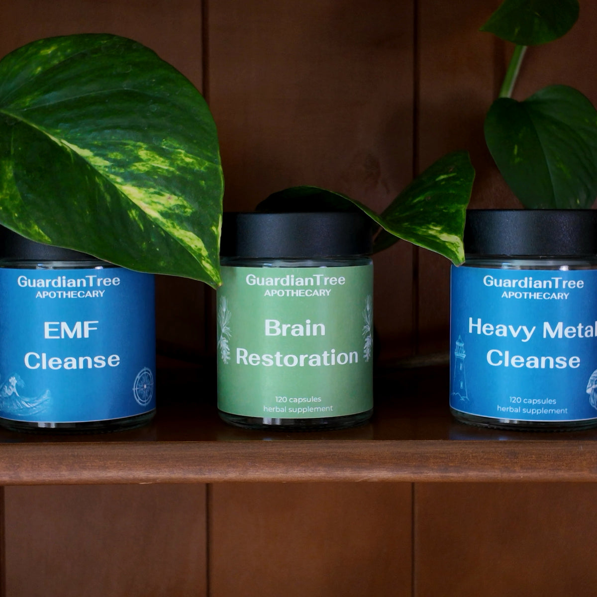 EMF Protection Bundle